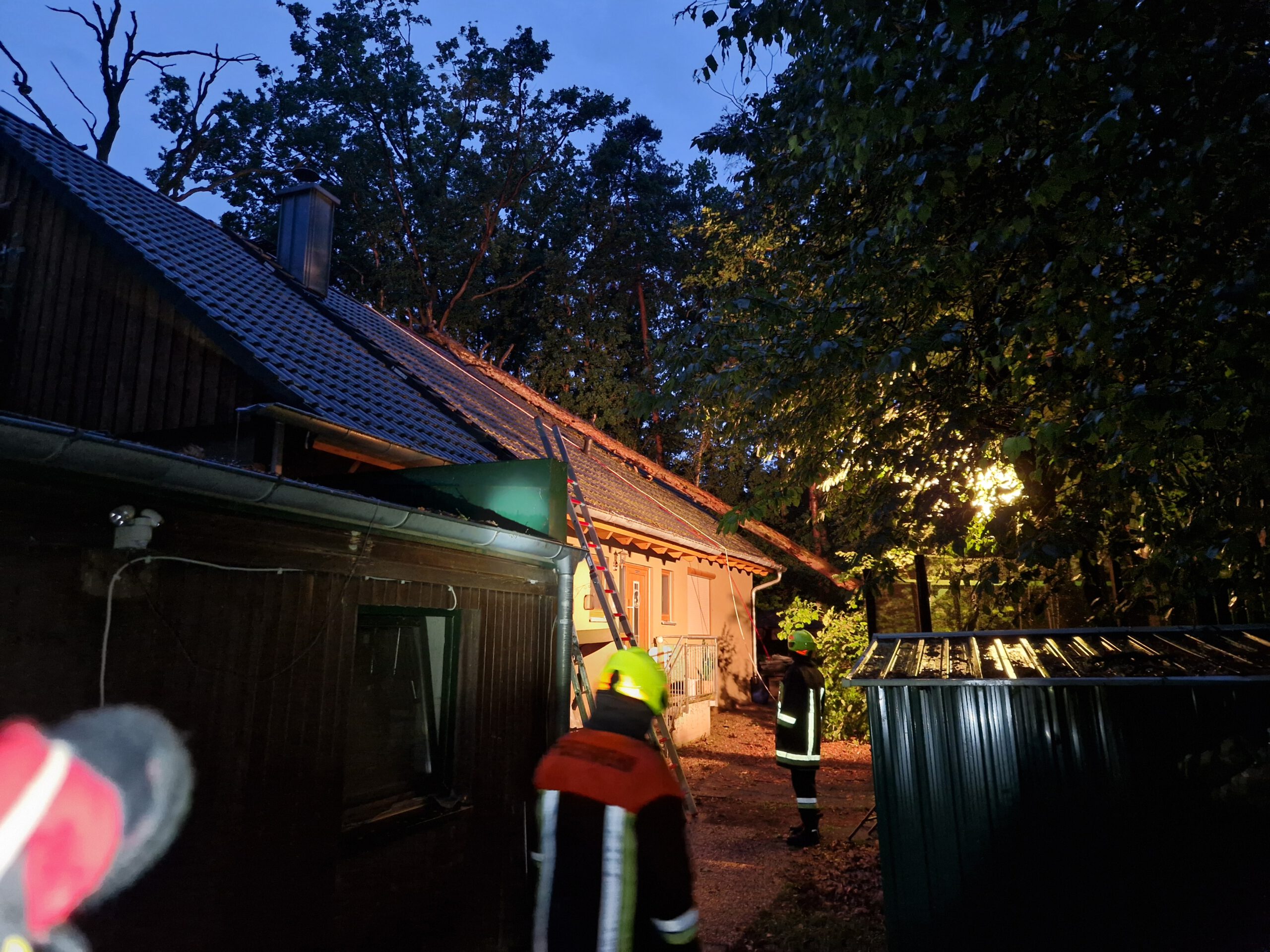 THL – Baum auf Gebäude